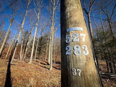 WP-01 Langford Creek Rd, van Etten, NY 14889 - photo 5