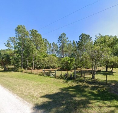 26300 Pheasant Run, Wesley Chapel, FL 33544 - photo 2