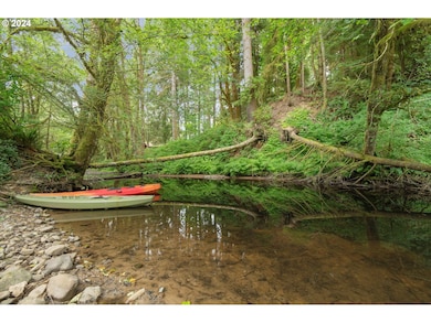 10282 Fieldcrest Dr, Birkenfeld, OR 97016 - photo 4