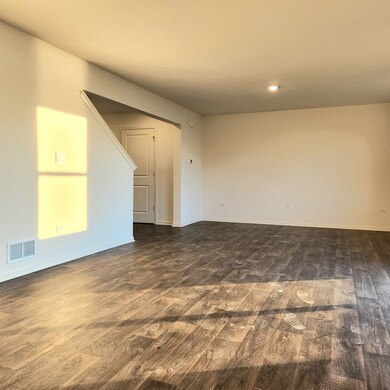 503 Monte Carlo Way, Joliet, IL 60436 - photo 7