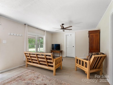 1343 Solen Williams Rd, Tryon, NC 28782 - photo 5