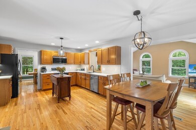 16 Gray Squirrel Cir, Medway, MA 02053 - photo 5