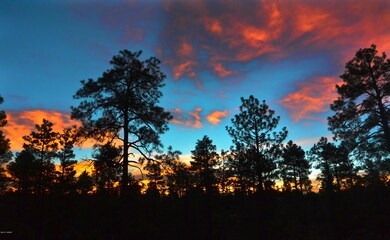Dusk
