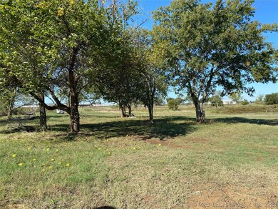 Mature tree grove