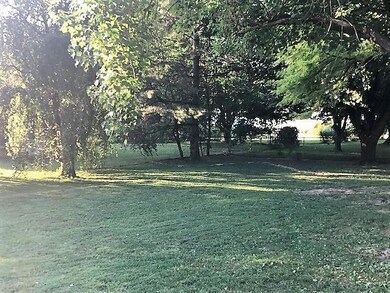 IMG_3712 (2)