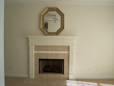 Gas Fireplace