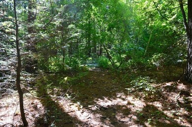 154 Lafayette Rd, Salisbury, MA 01952 - photo 5