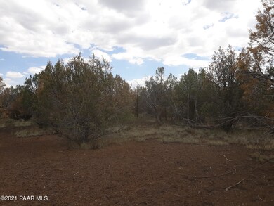 216a Juniperwood Ranch, Ash Fork, AZ 86320 - photo 5