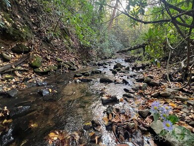 6 Dividing Ridge Trail unit 1, Arden, NC 28704 - photo 7