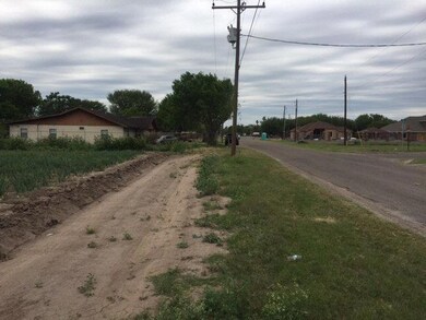 000 E Nebraska Rd, Alamo, TX 78516 - photo 4