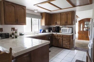 38729 Juniper Tree (8 of 34)