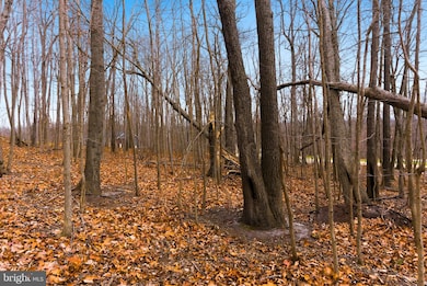 0 Cardinal Dr unit VAFV2038232, Winchester, VA 22602 - photo 5