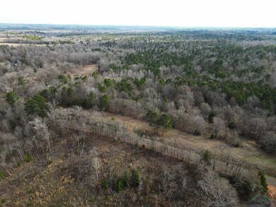 Drone / aerial view featuring a rural view