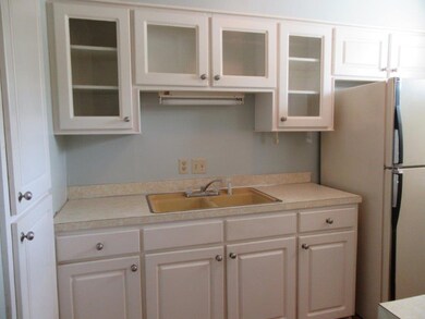 Kitchen View 1
