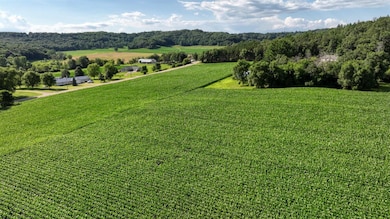 0 Hammer Rd, Sparta, WI 54656 - photo 4