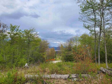 62 Knox Mountain Rd unit map 75 lot 43, Ossipee, NH 03814 - photo 2