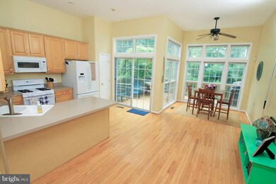 5446 Summer Leaf Ln, Alexandria, VA 22312 - photo 7