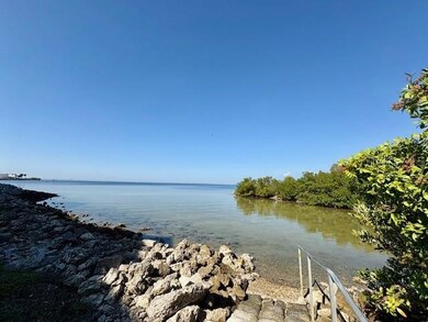 5000 Culbreath Key Way unit 9305, Tampa, FL 33611 - photo 5