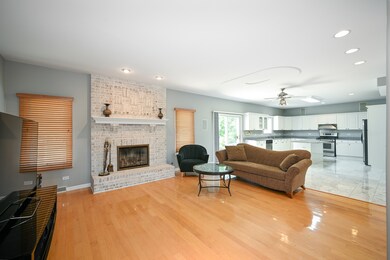 759 N Michigan St, Elmhurst, IL 60126 - photo 7