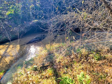 0 Clark Rd, Black River Falls, WI 54615 - photo 6