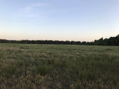 30 acres of pasture land