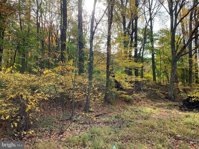 0 W Forge Rd, Glen Mills, PA 19342 - photo 7