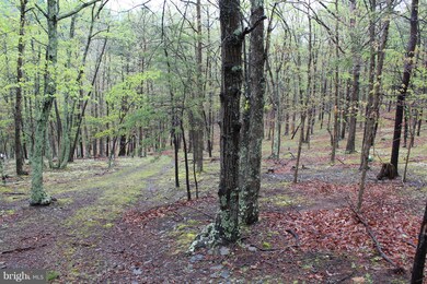 252 Secrist Rd, Lahmansville, WV 26731 - photo 4