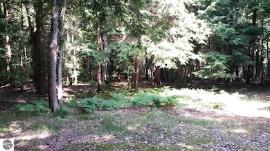 Mostly Hemlock Trees