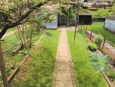 Backyard - Late May 2017