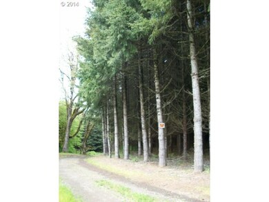 0 Savage Rd unit 13200271, Sheridan, OR 97378 - photo 3