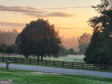 from front yard as seen from kitchen window and front porch.