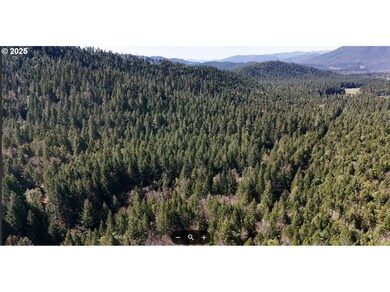 0 Davis Creek Rd, Selma, OR 97538 - photo 2