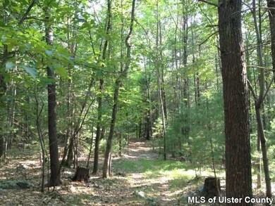 TBD Kripplebush Rd, Marbletown, NY 12404 - photo 3