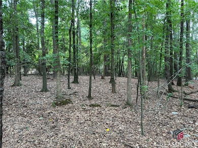 360 Hawthorne Extension, Athens, GA 30606 - photo 7