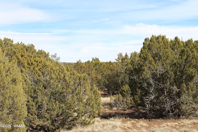 Jason Kempski SL Pines 6 (9)