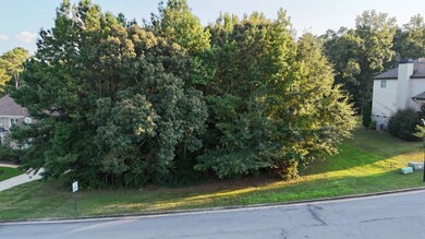 232 Flagstone Place, Auburn, AL 36830 - photo 7