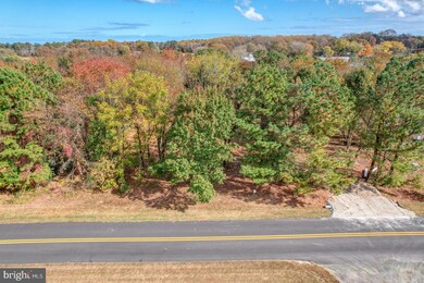 Lot #4 Falling Point Rd, Dagsboro, DE 19939 - photo 2