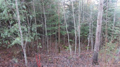 57-17 Jesse Ln, Littleton, NH 03561 - photo 4