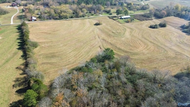 4.51 Ester Rd, Grant, AL 35747 - photo 7