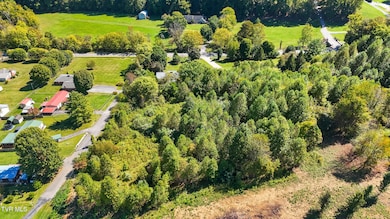 TBD Lake Hill Dr, Unicoi, TN 37692 - photo 6