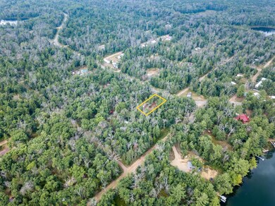 8532 1st St, Baldwin, MI 49304 - photo 7