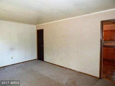 10184 Thomasson Ln, Rixeyville, VA 22737 - photo 3