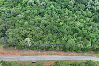 0 Skyline Dr, Fortson, GA 31808 - photo 2