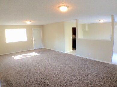 6715 Lucente Dr, Jacksonville, FL 32210 - photo 6