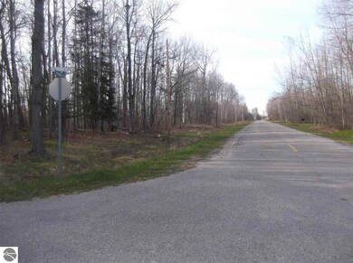 #10 Putnam Rd, Hale, MI 48739 - photo 5