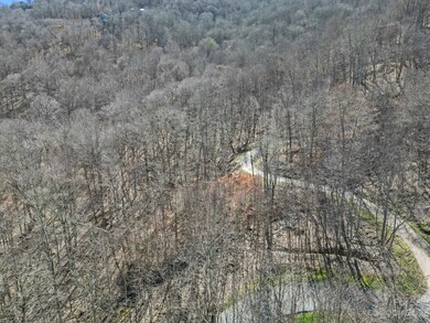 16 Chestnut Village unit 16, Mars Hill, NC 28754 - photo 4