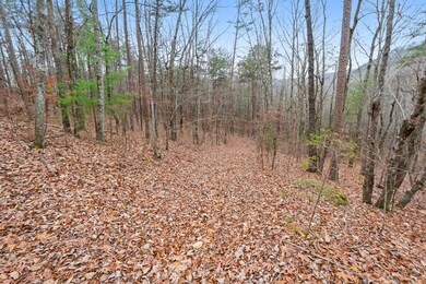 0 Retro Hughes Rd unit 1525195, Sale Creek, TN 37373 - photo 7