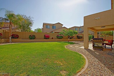 Backyard 3