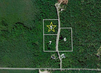 Screen Shot 2023-06-08 at 10.42.22 AM