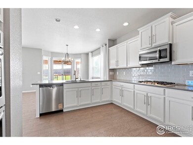 2275 Stonefish Dr, Windsor, CO 80550 - photo 5